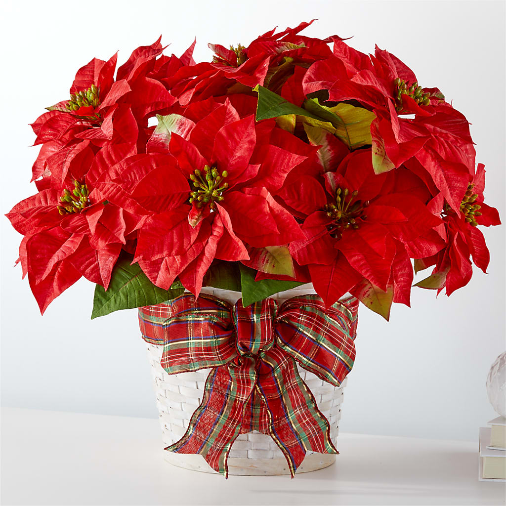 Happiest Holidays Poinsettia – SHAW'S, West Bridgewater MA