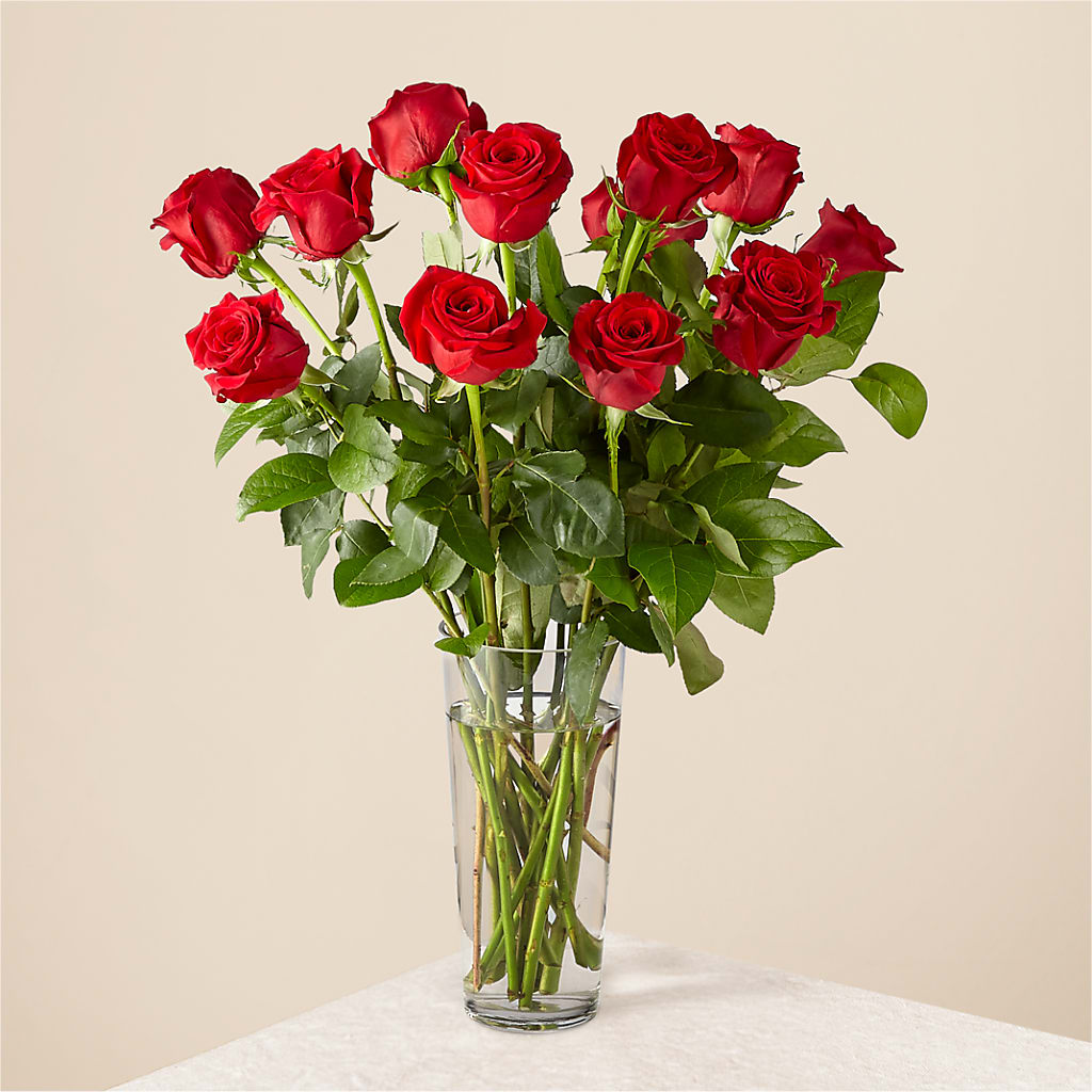 Long Stem Red Rose Bouquet – SHAW'S, West Bridgewater MA