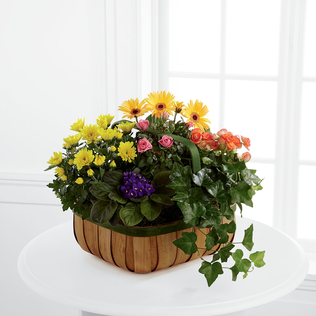 Gentle Blossoms Basket – SHAW'S, West Bridgewater MA