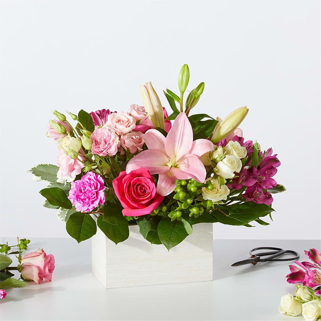 Sweetberry Box – A Florist Original – SHAW'S, West Bridgewater MA