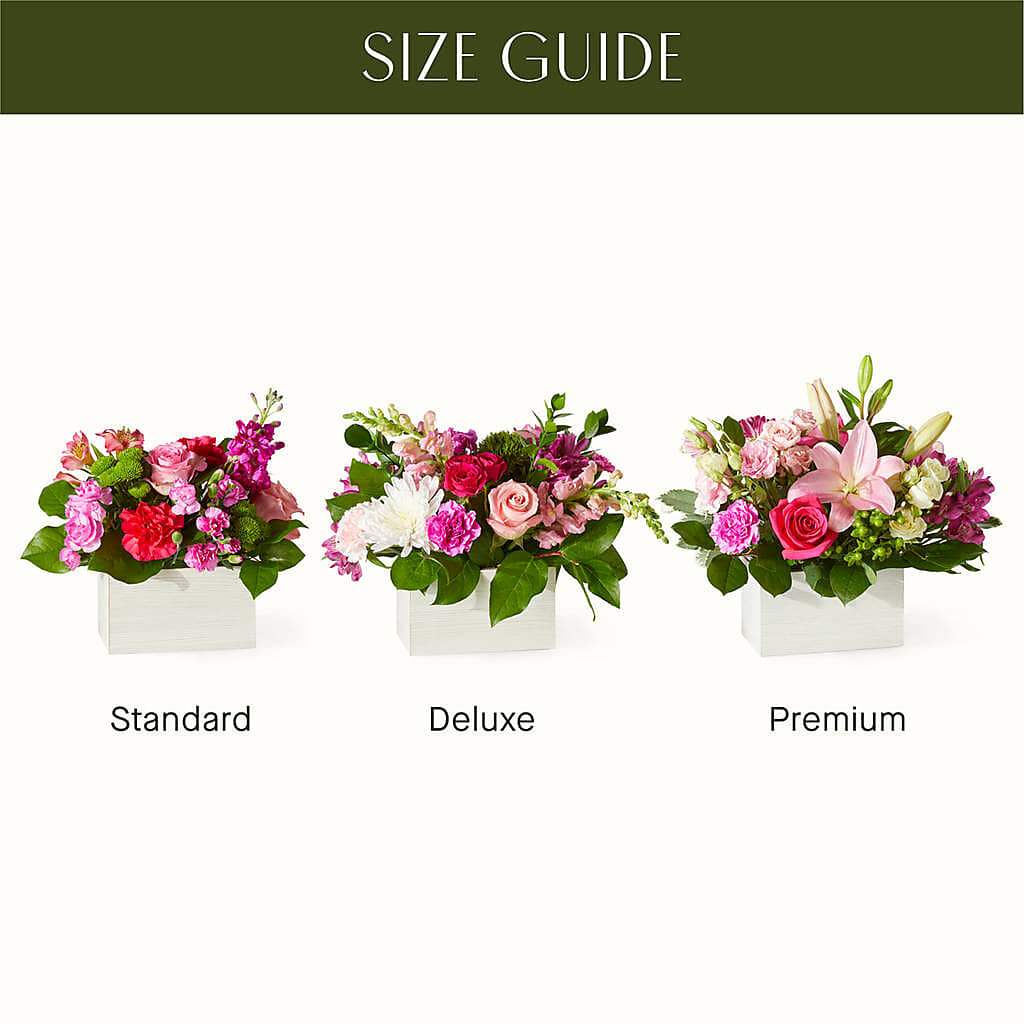Sweetberry Box – A Florist Original – SHAW'S, West Bridgewater MA