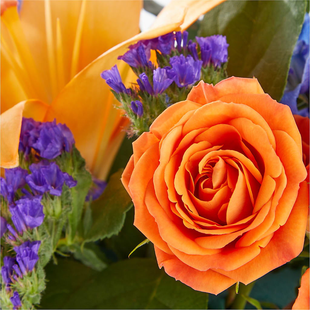 Radiant Citrus Box Bouquet – SHAW'S, West Bridgewater MA