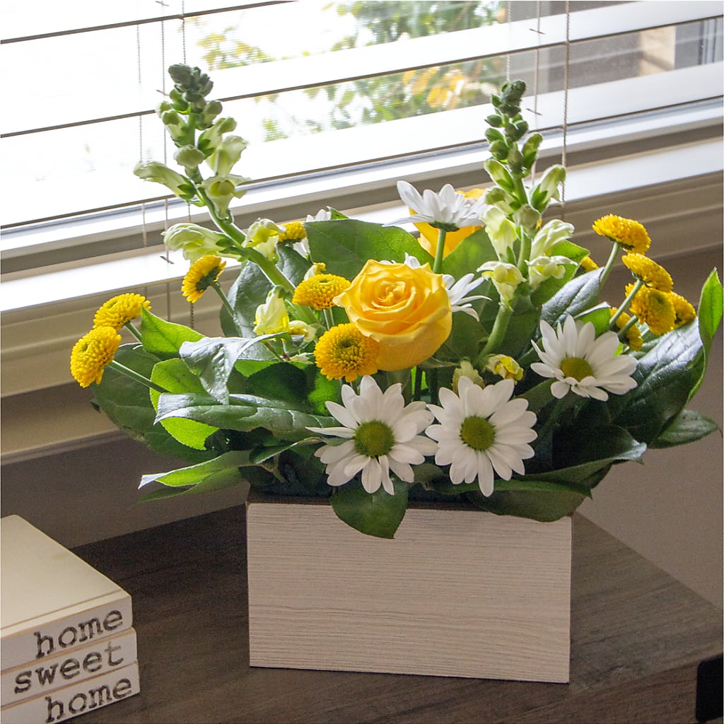 Sun Salutation Box Bouquet – SHAW'S, West Bridgewater MA