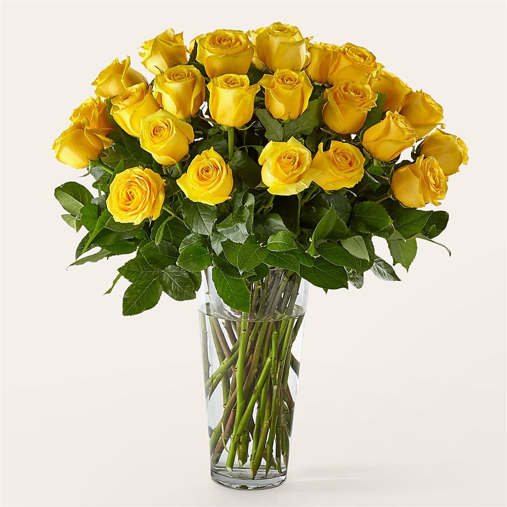 Long Stem Yellow Rose Bouquet – SHAW'S, West Bridgewater MA