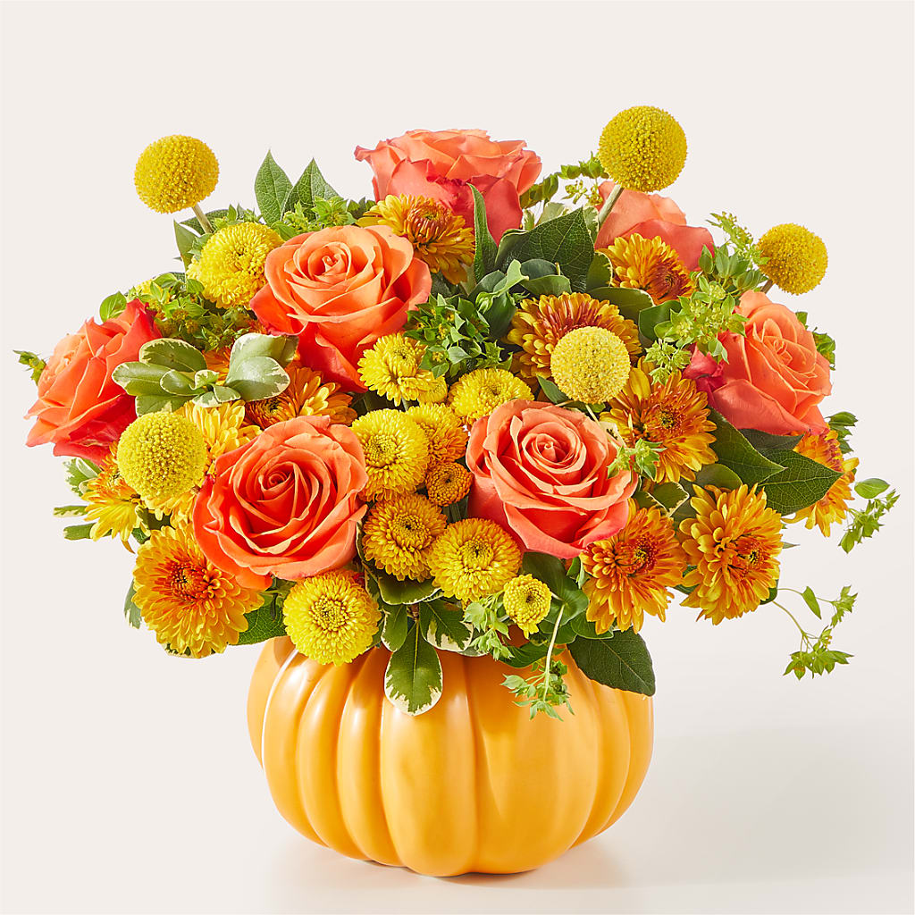 Gourdgeous Pumpkin – SHAW'S, West Bridgewater MA