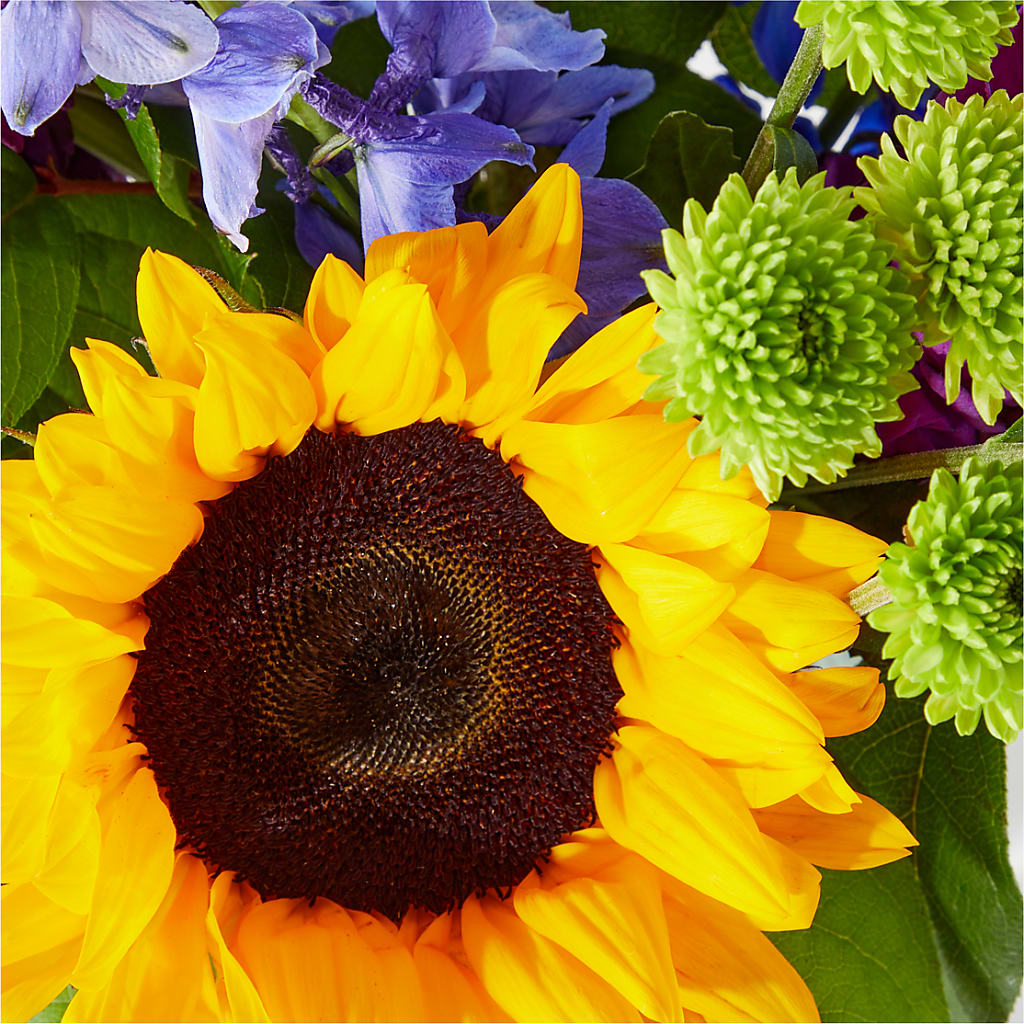 Catching Rays Bouquet – SHAW'S, West Bridgewater MA