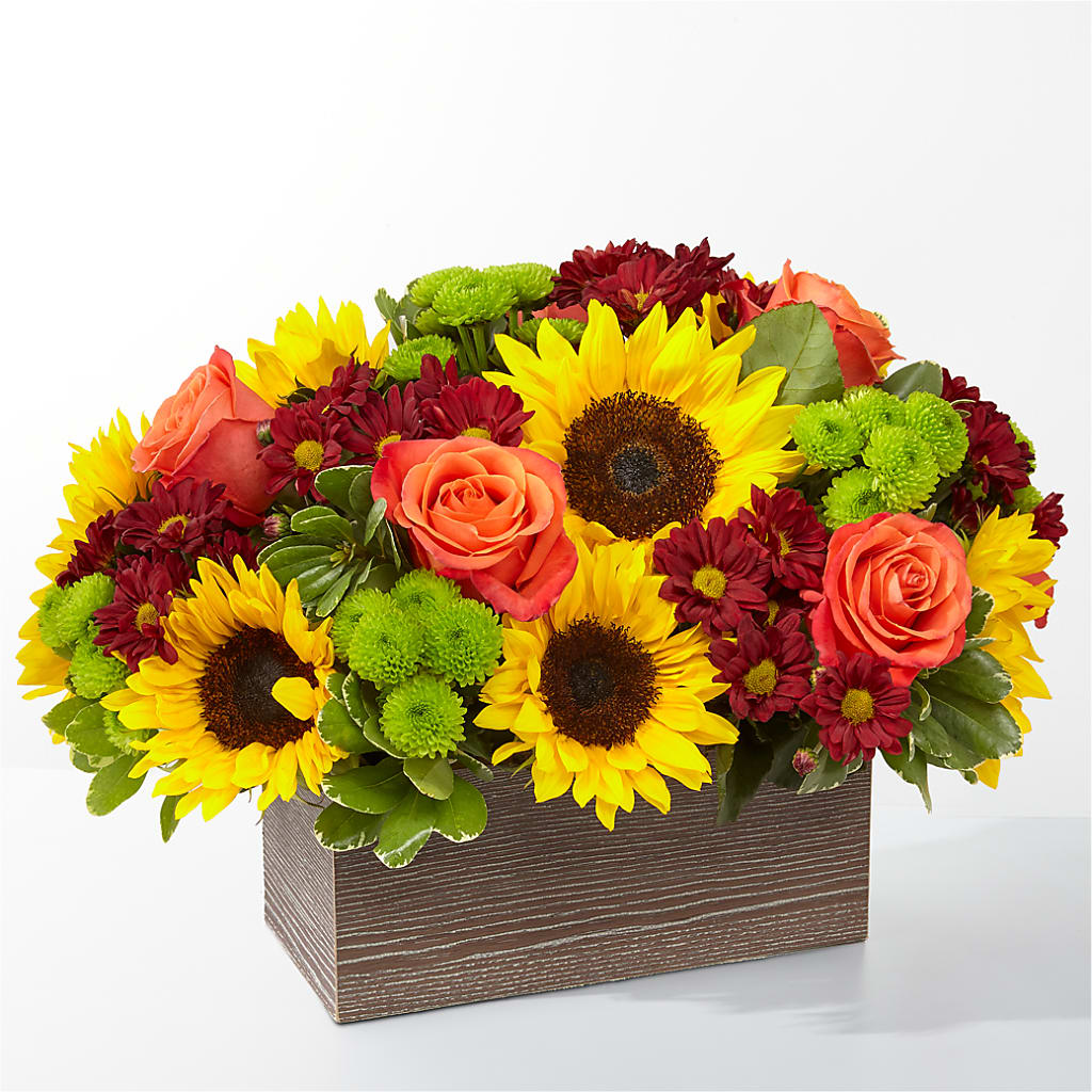 Happy Harvest Garden – SHAW'S, West Bridgewater MA
