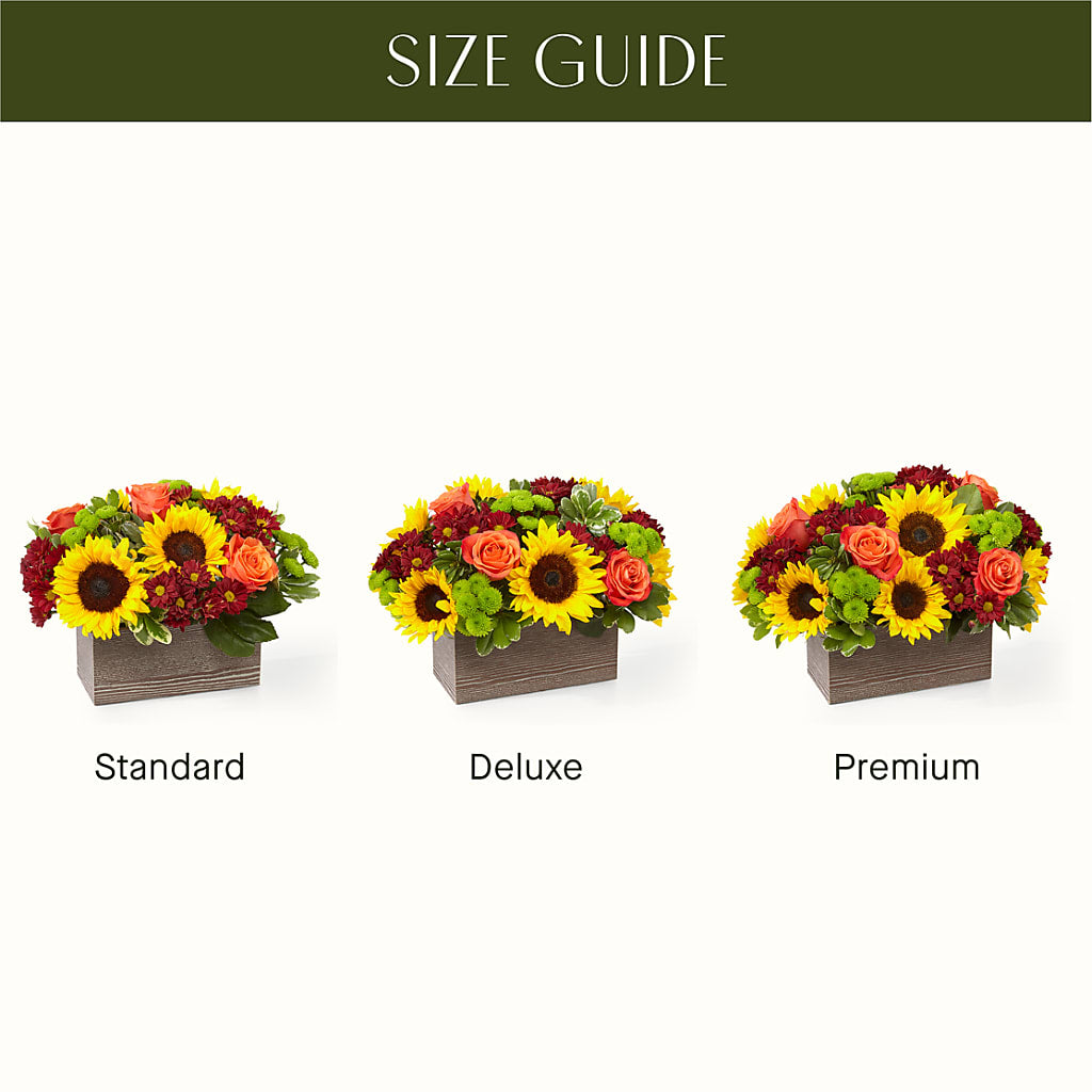 Happy Harvest Garden – SHAW'S, West Bridgewater MA
