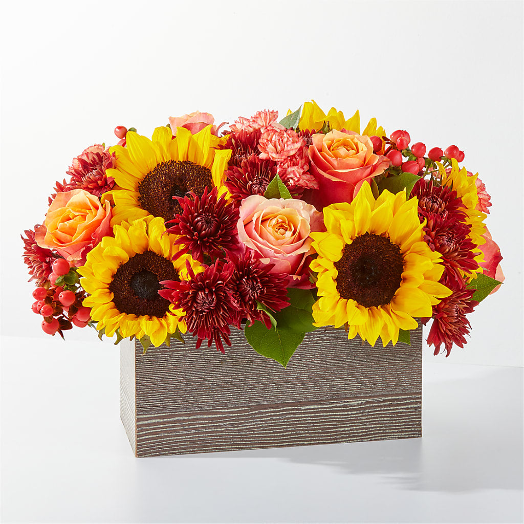 Fresh Cider Bouquet – SHAW'S, West Bridgewater MA