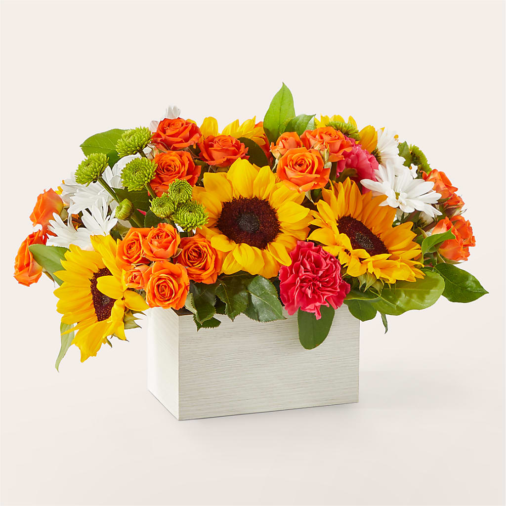Sun-drenched Blooms Box Bouquet – SHAW'S, West Bridgewater MA
