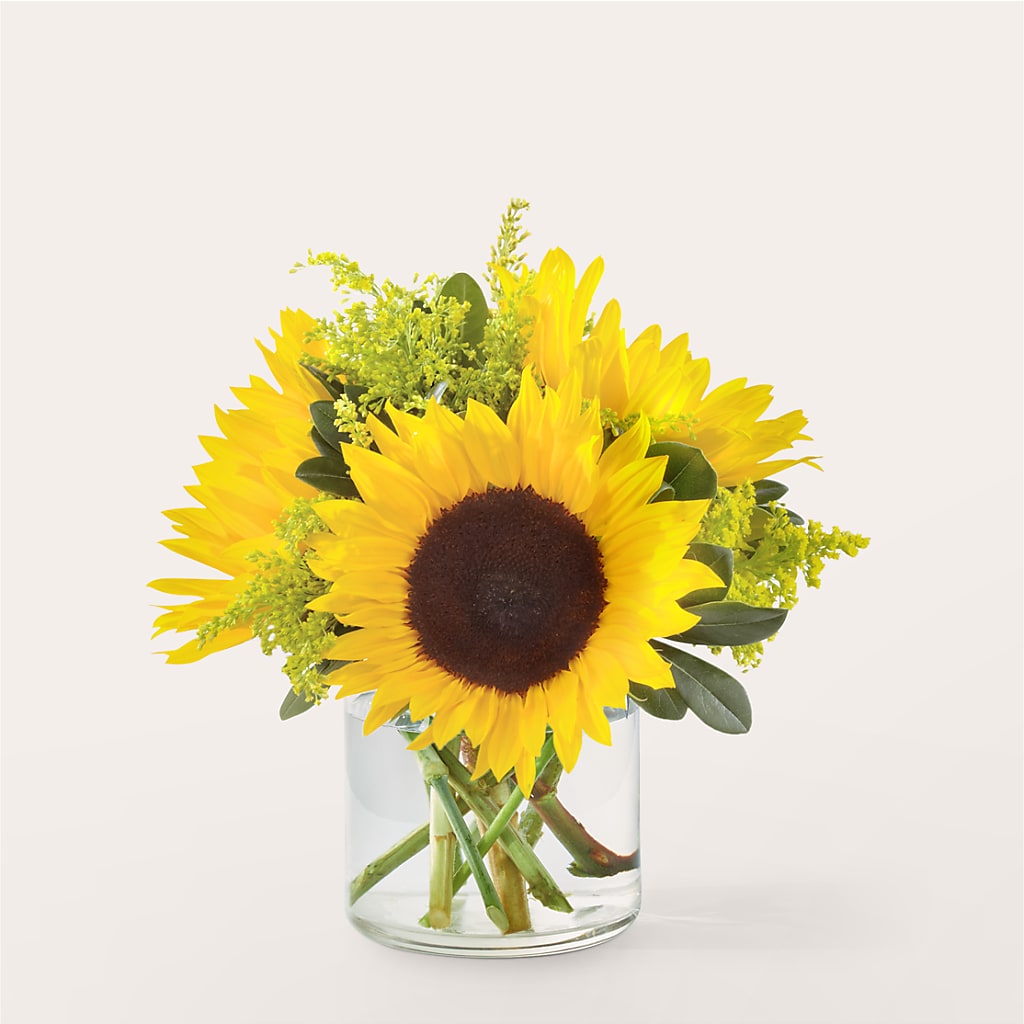 Beaming Sunflower Bouquet – SHAW'S, West Bridgewater MA
