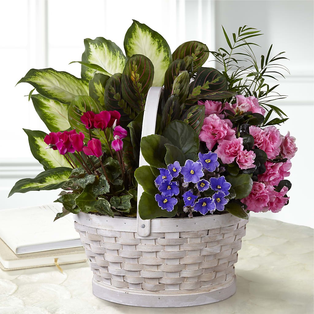 Peaceful Garden Planter – SHAW'S, West Bridgewater MA