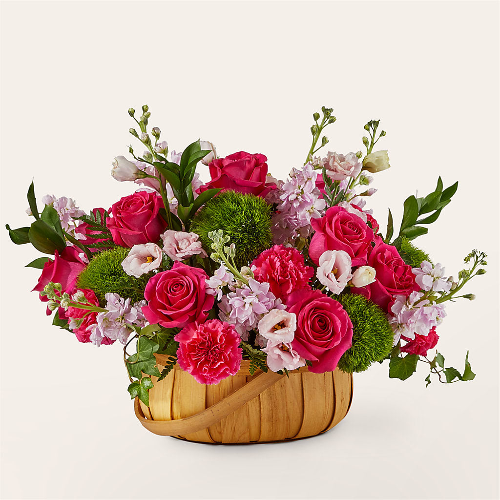 Radiance in Bloom Basket – SHAW'S, West Bridgewater MA