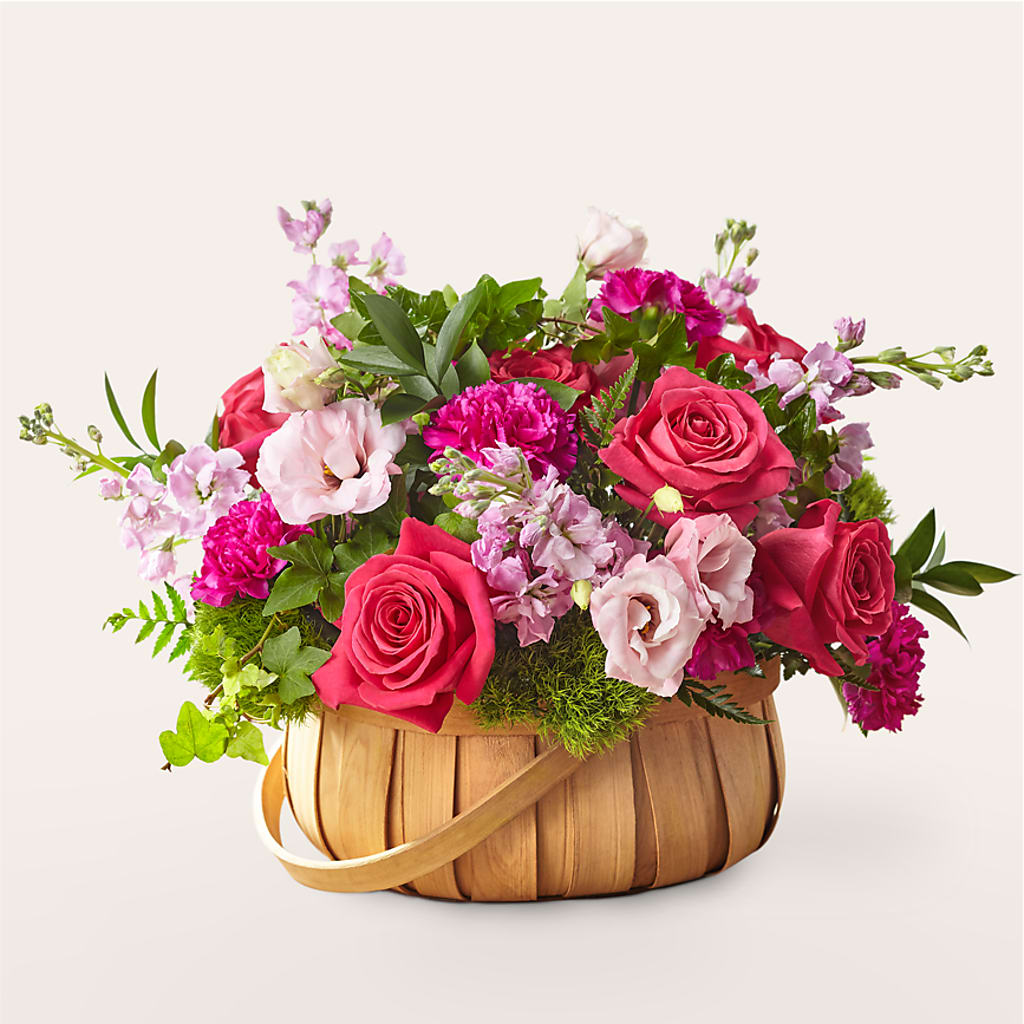 Radiance in Bloom Basket – SHAW'S, West Bridgewater MA