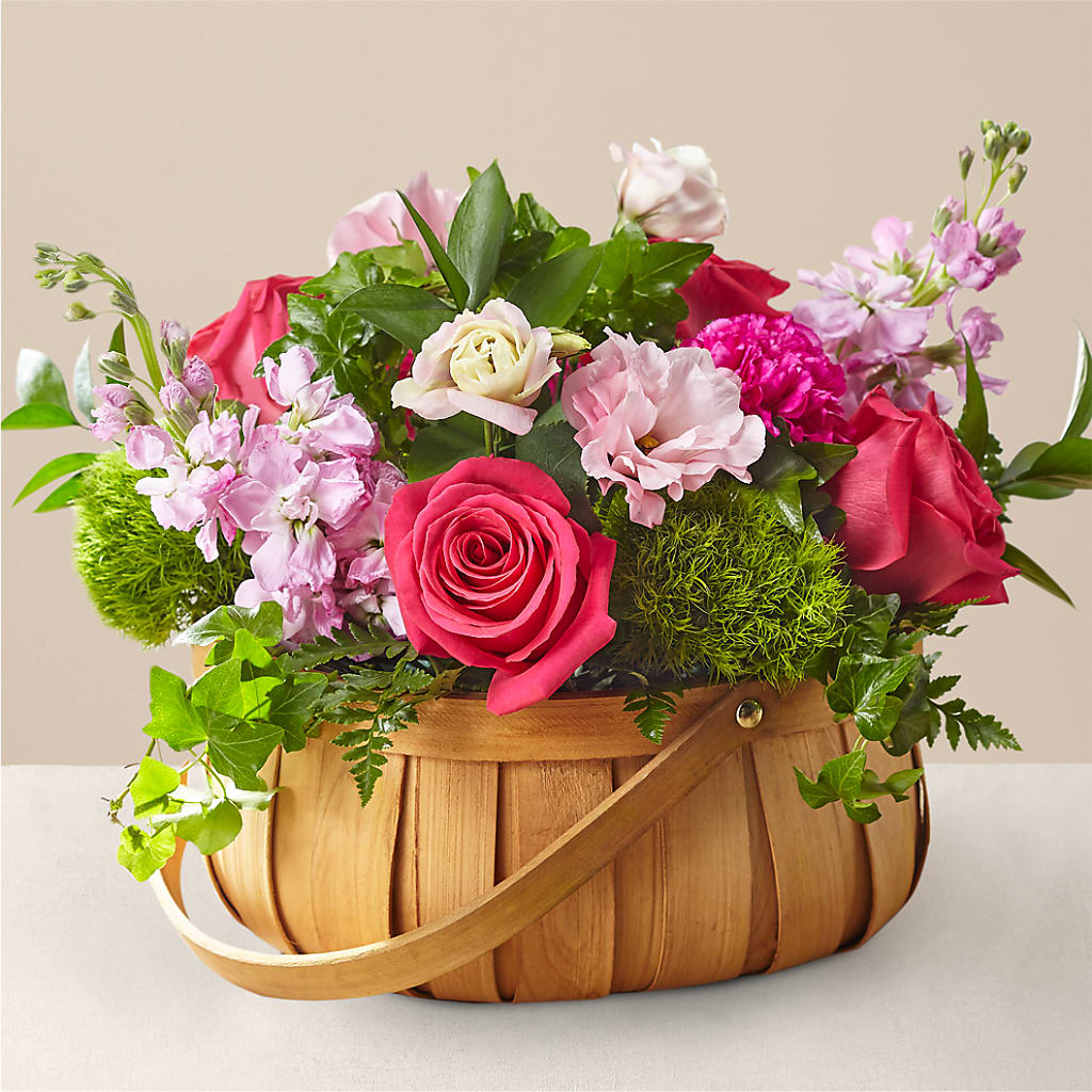 Radiance in Bloom Basket – SHAW'S, West Bridgewater MA