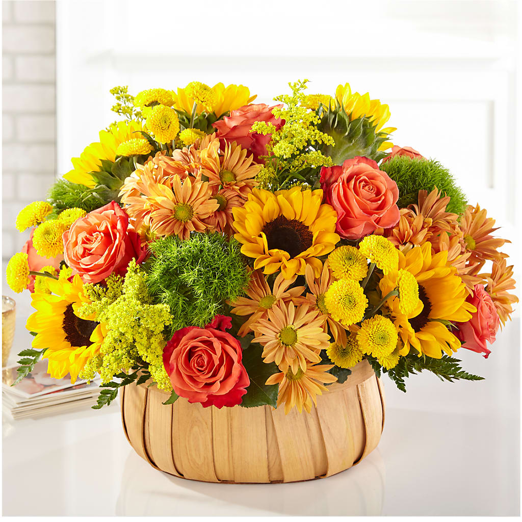 Harvest Sunflower Basket – SHAW'S, West Bridgewater MA