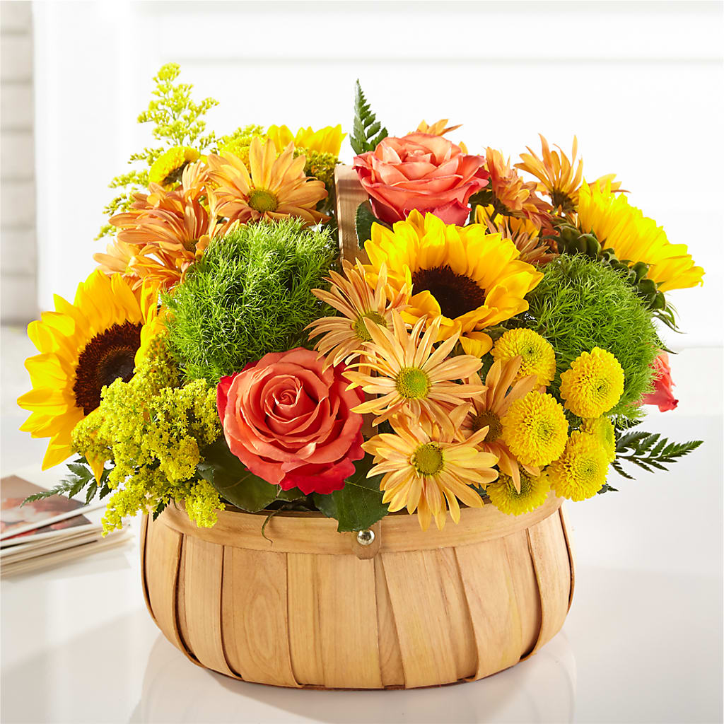 Harvest Sunflower Basket – SHAW'S, West Bridgewater MA