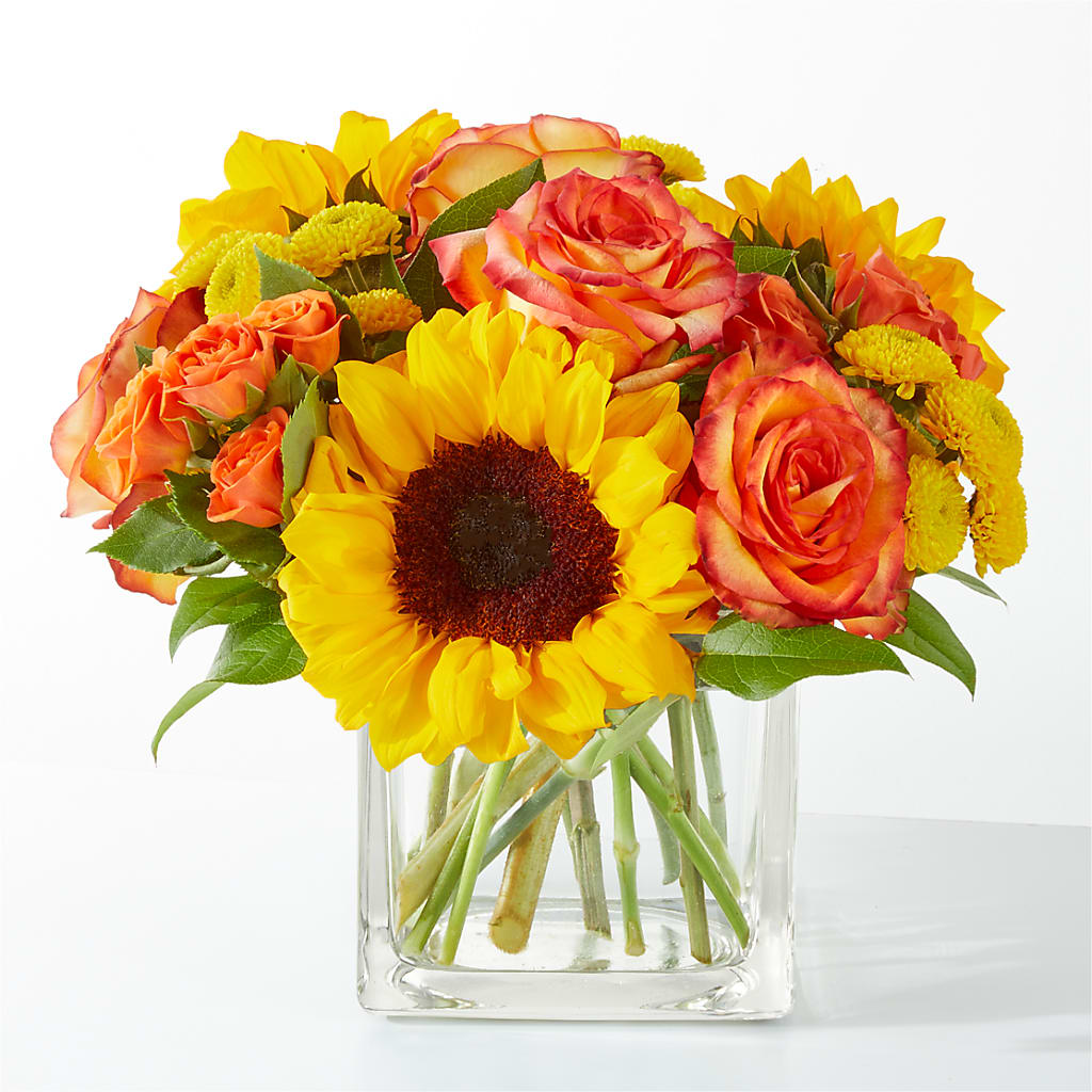 Picnic in the Park Bouquet – SHAW'S, West Bridgewater MA