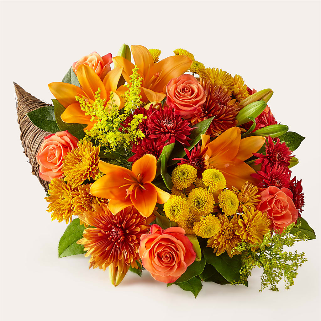 Feast of Color Cornucopia – SHAW'S, West Bridgewater MA