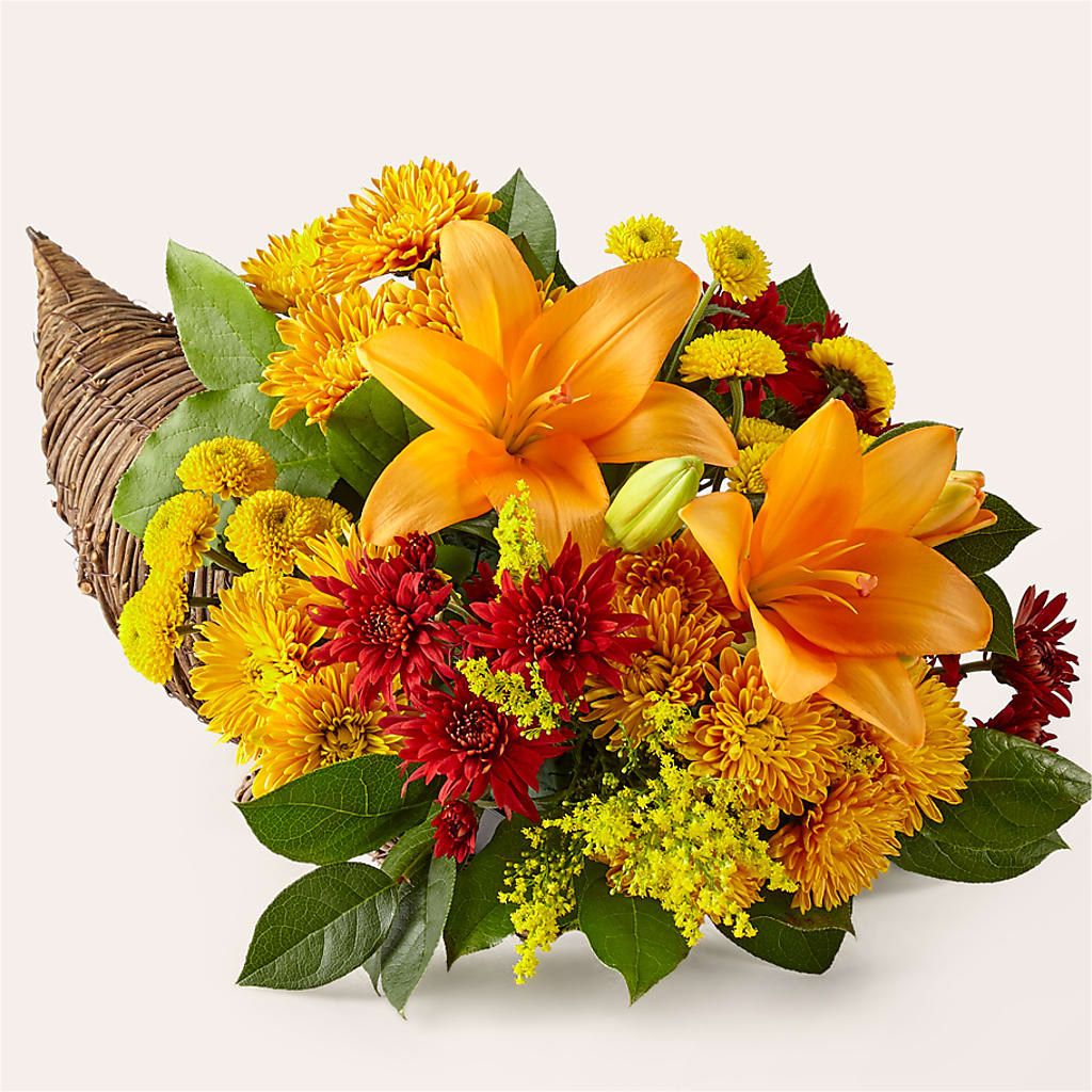 Feast of Color Cornucopia – SHAW'S, West Bridgewater MA