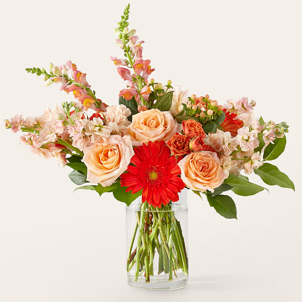 Paloma Please Bouquet – SHAW'S, West Bridgewater MA