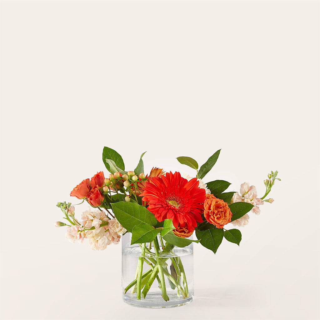 Paloma Please Bouquet – SHAW'S, West Bridgewater MA