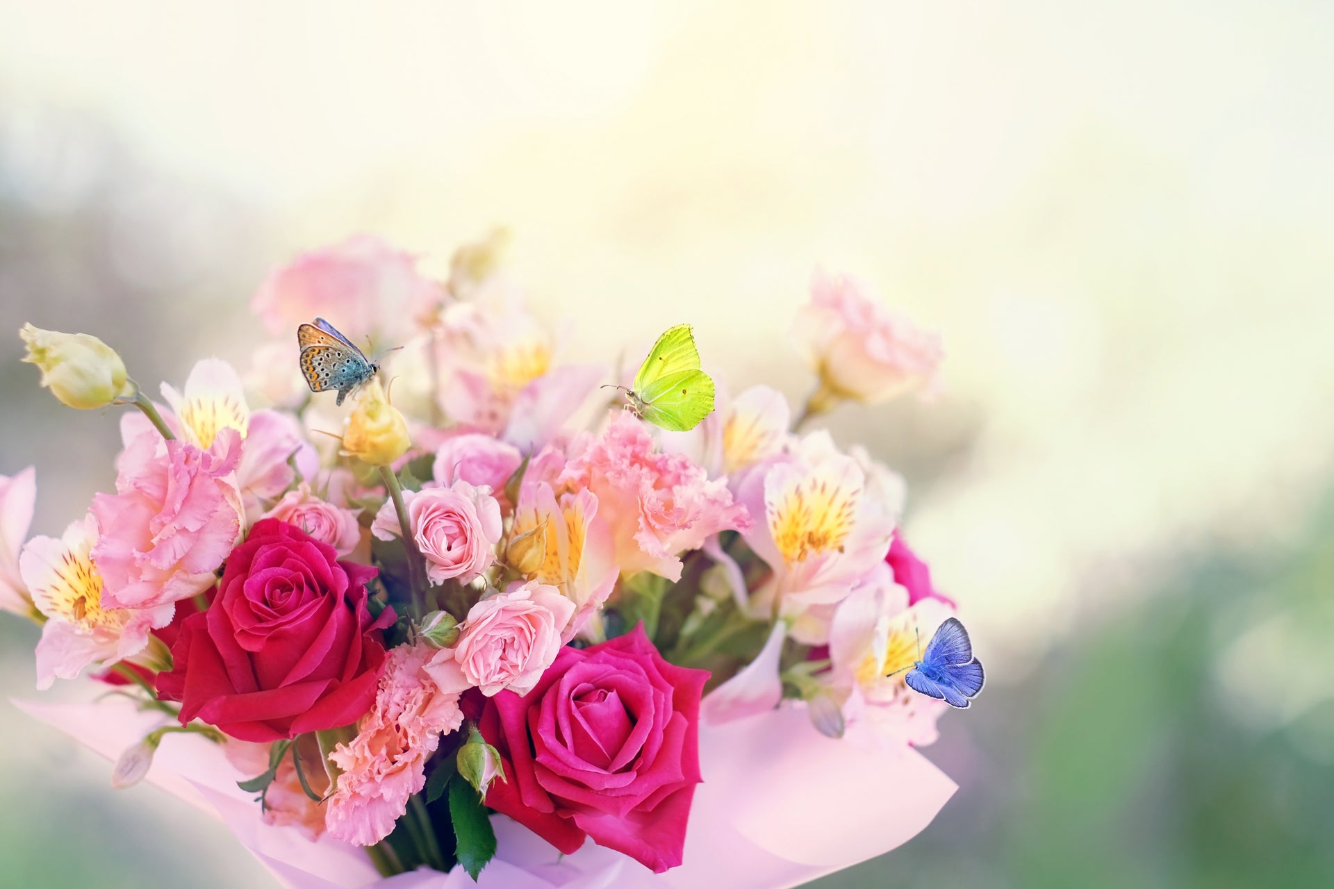 Spring flowers in West Bridgewater, MA | Shaw's – Local Flower Delivery