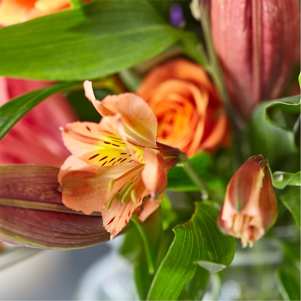 Bold & Bright – A Florist Original – SHAW'S, West Bridgewater MA