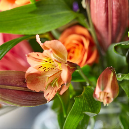 Bold & Bright – A Florist Original – SHAW'S, West Bridgewater MA
