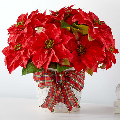 Happiest Holidays Poinsettia – SHAW'S, West Bridgewater MA
