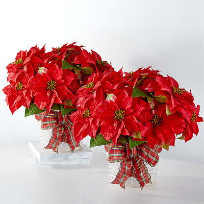 Happiest Holidays Poinsettia Bundle – SHAW'S, West Bridgewater MA