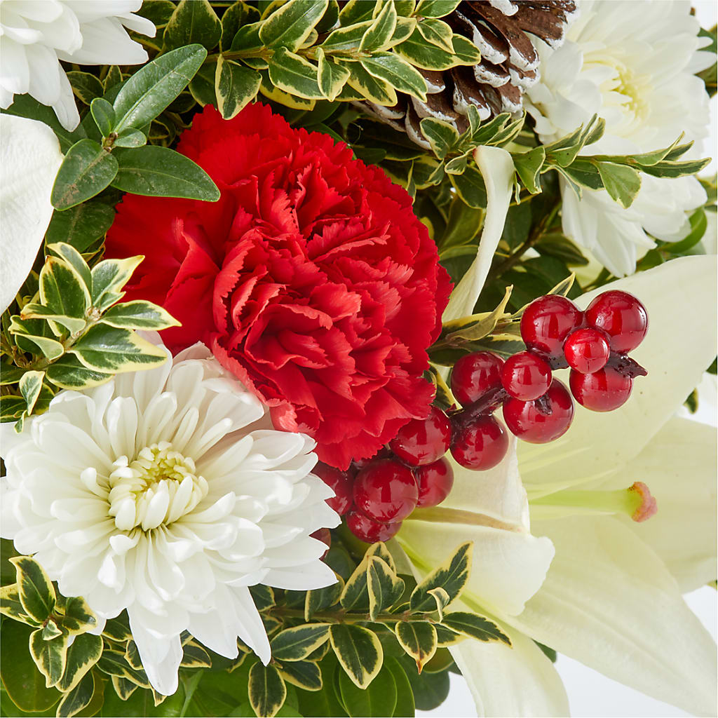 Festive Moments Tree – SHAW'S, West Bridgewater MA