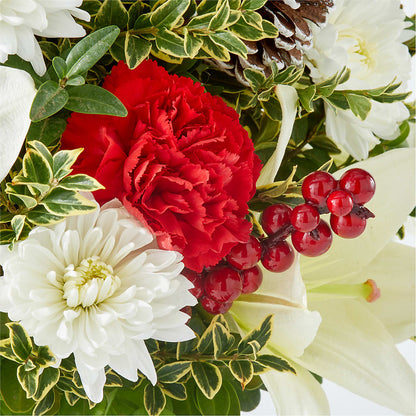 Festive Moments Tree – SHAW'S, West Bridgewater MA