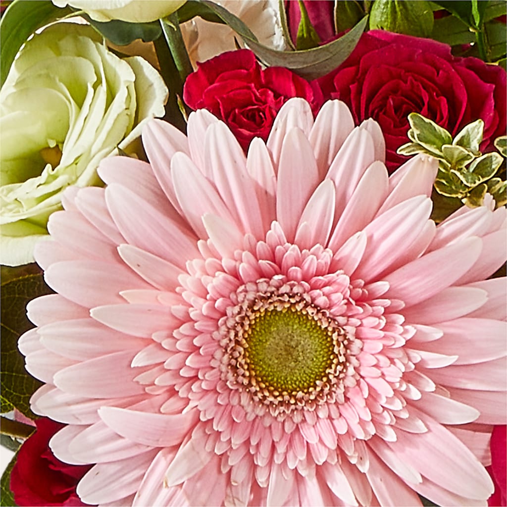 Too Cute Bouquet – SHAW'S, West Bridgewater MA