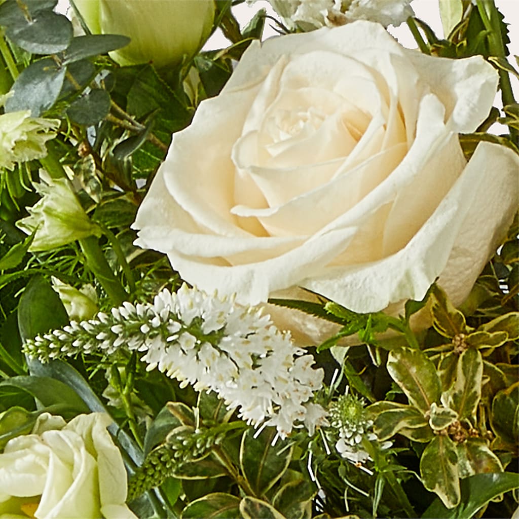 Cashmere Bouquet – SHAW'S, West Bridgewater MA