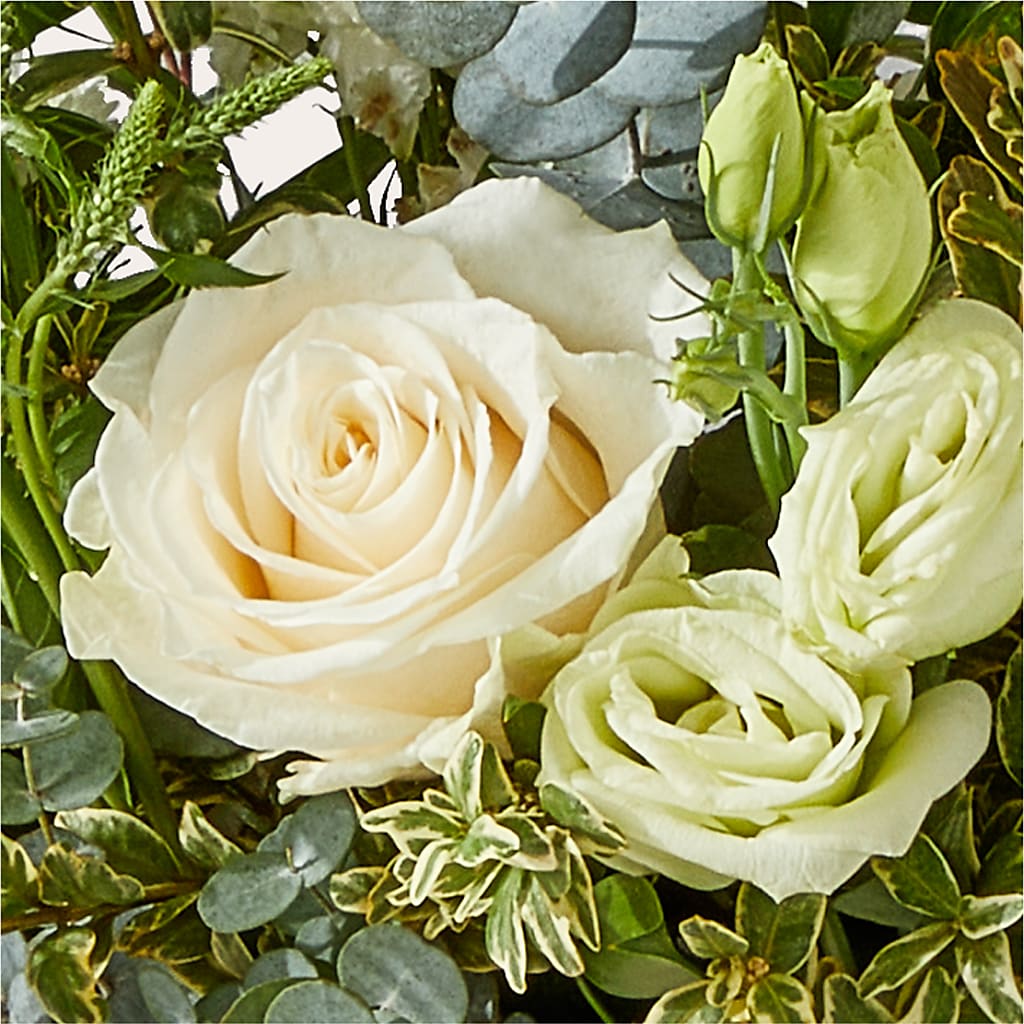 Cashmere Bouquet – SHAW'S, West Bridgewater MA