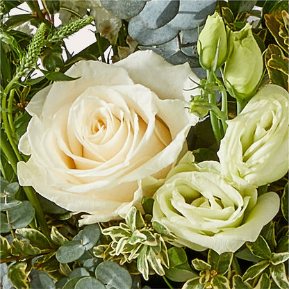 Cashmere Bouquet – SHAW'S, West Bridgewater MA