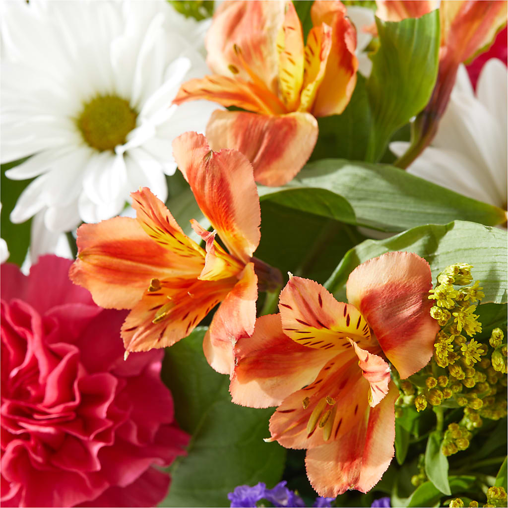 Oopsie Daisy Box Bouquet – SHAW'S, West Bridgewater MA