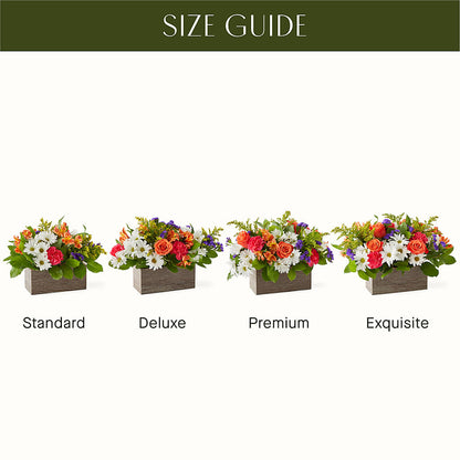 Oopsie Daisy Box Bouquet – SHAW'S, West Bridgewater MA