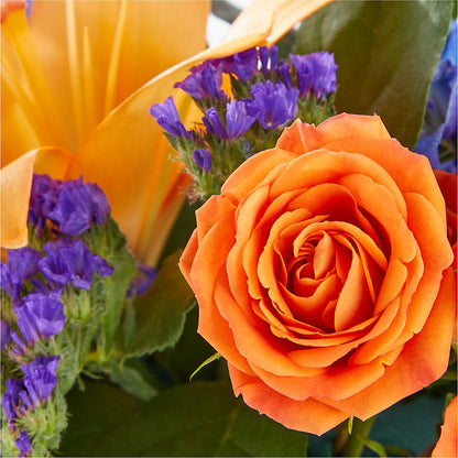 Radiant Citrus Box Bouquet – SHAW'S, West Bridgewater MA