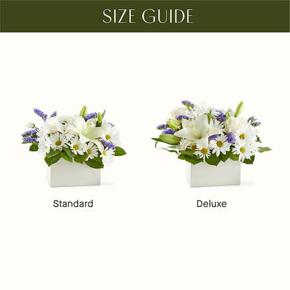 Beyond Blue Box Bouquet – SHAW'S, West Bridgewater MA