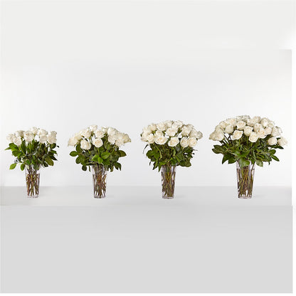Long Stem White Rose Bouquet – SHAW'S, West Bridgewater MA