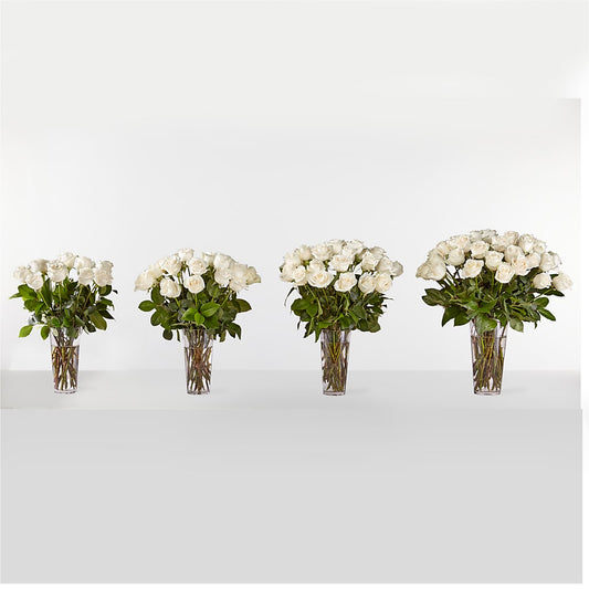 Long Stem White Rose Bouquet – SHAW'S, West Bridgewater MA
