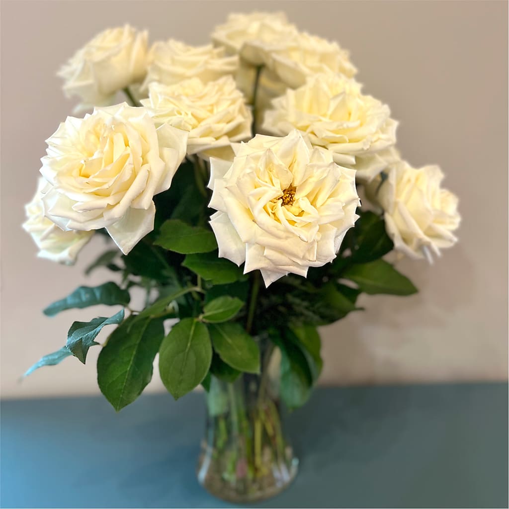 Long Stem Yellow Rose Bouquet – SHAW'S, West Bridgewater MA