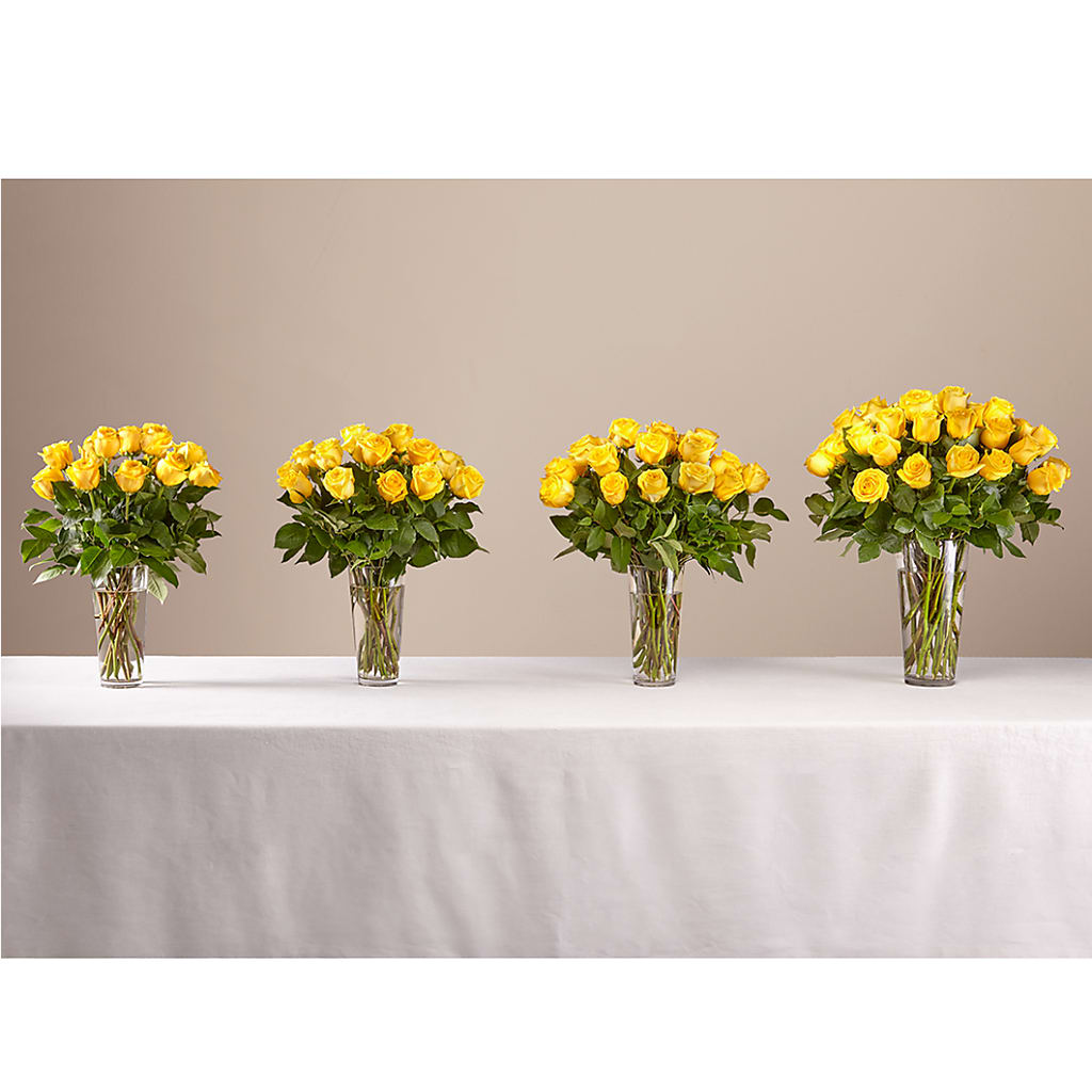 Long Stem Yellow Rose Bouquet – SHAW'S, West Bridgewater MA