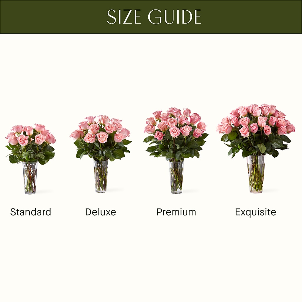 Long Stem Pink Rose Bouquet – SHAW'S, West Bridgewater MA