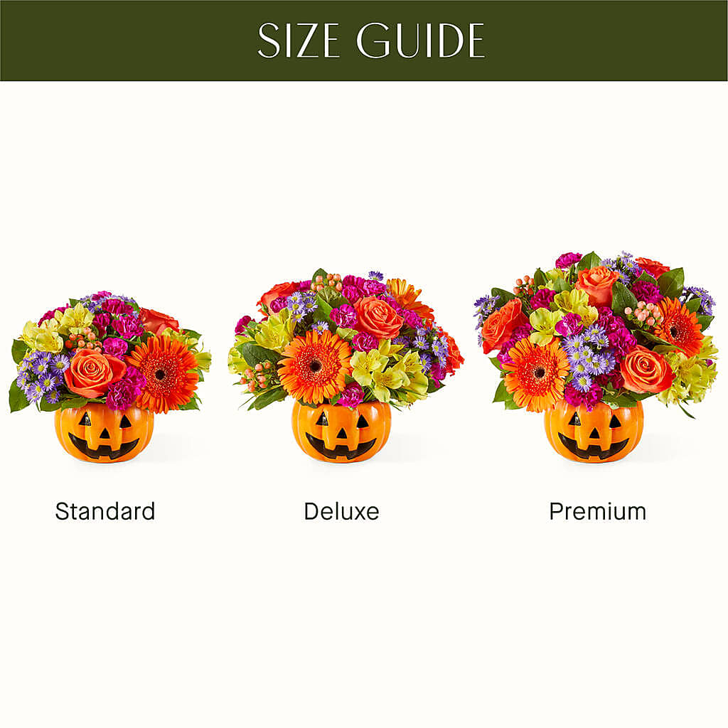 Tricks & Treats Pumpkin – SHAW'S, West Bridgewater MA