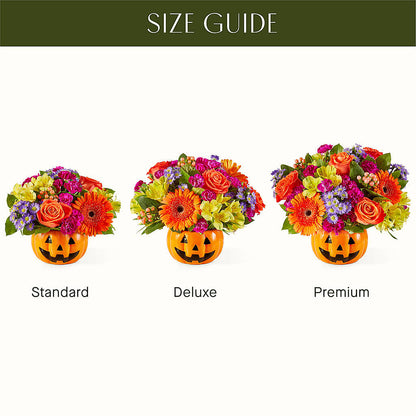 Tricks & Treats Pumpkin – SHAW'S, West Bridgewater MA
