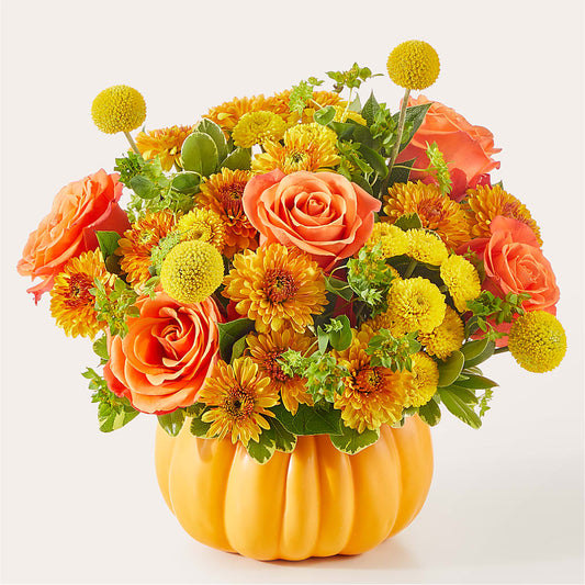 Gourdgeous Pumpkin – SHAW'S, West Bridgewater MA