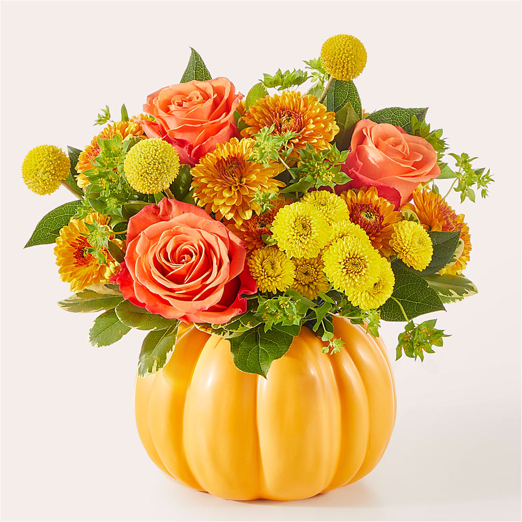 Gourdgeous Pumpkin – SHAW'S, West Bridgewater MA